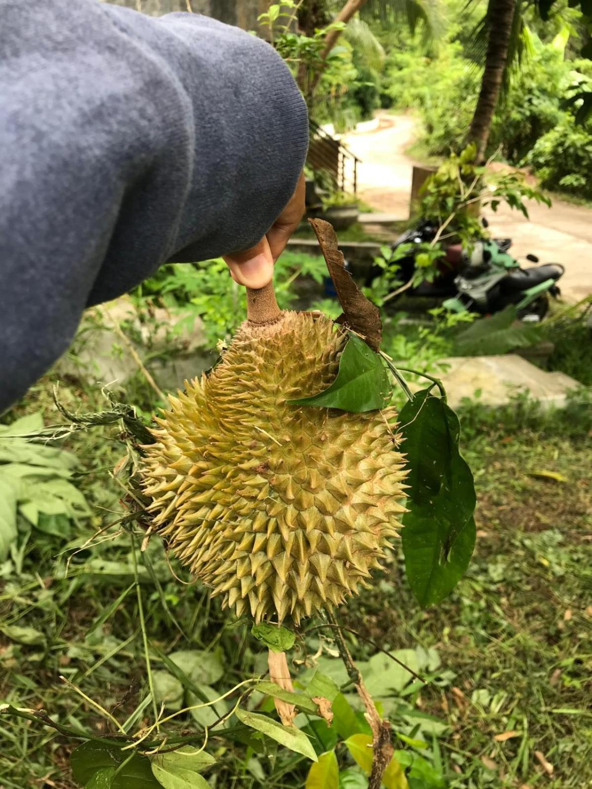 巴卡达度假屋 奈扬海滩 外观 照片